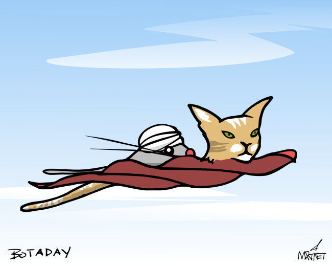 Flying Catpet