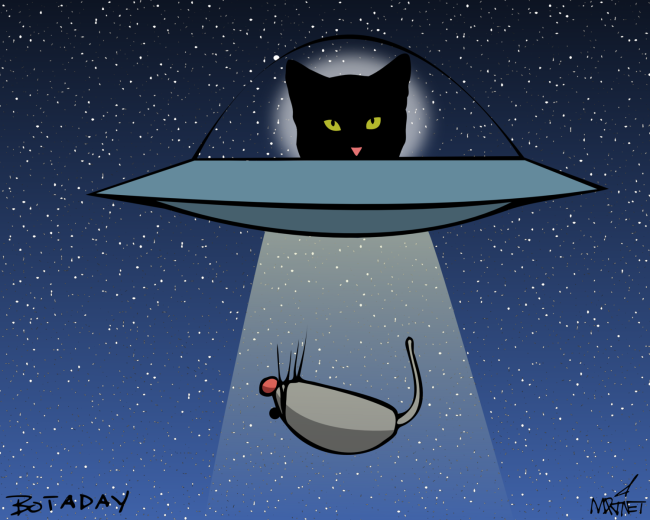 Vector graphic image by Mike Martinet of a cat in a spaceship levitating a toy mouse