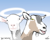 Vector graphic image by Mike Martinet of a two goat heads with halos