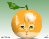 Vector graphic image by Mike Martinet of an orange tabby cat face in an orange fruit